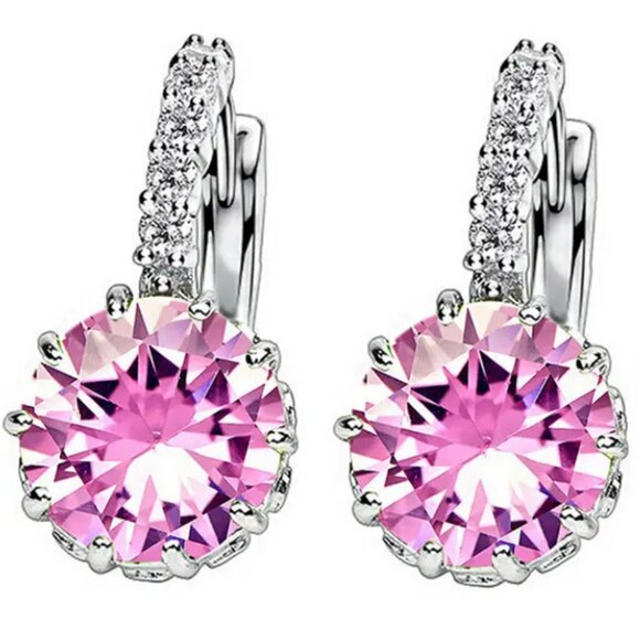 Lymphatic Germanium Magnetology Drainage Silver Electro-Plated Hoop Earrings - Picture 2 of 2